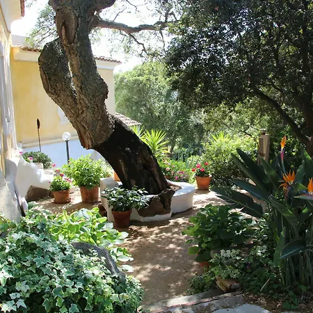 Residenza Di Campagna Seranile Landsted Dorgali